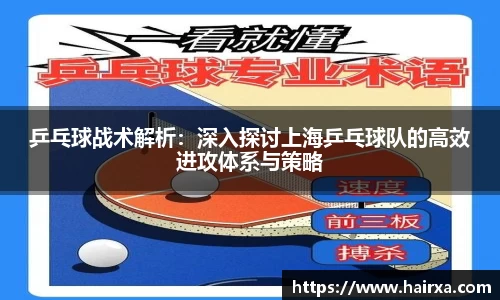 星空·综合体育官方网站