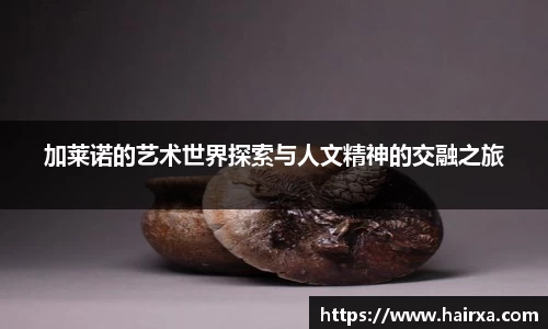 加莱诺的艺术世界探索与人文精神的交融之旅